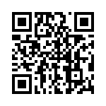 P4KE91CAHA0G QRCode