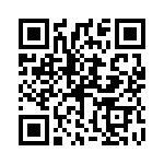 P522306 QRCode