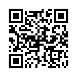 P6KE22-E3-54 QRCode