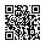 P6KE27CATA QRCode