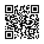 P6KE300-B QRCode