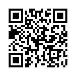 P6KE300CA-B0G QRCode