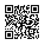 P6KE51AHB0G QRCode