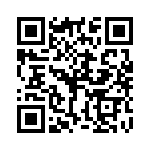 P6SMB30A QRCode