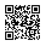 PE973203 QRCode