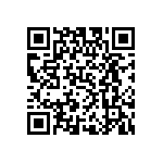 PTH12040WAD_299 QRCode