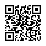 Q2006R4 QRCode