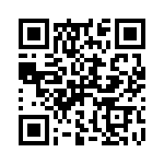 R13133LBBR7 QRCode