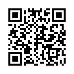 R60II33305030K QRCode