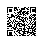 RCP1206B300RJET QRCode