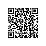 RCP1206B300RJS6 QRCode