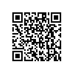 RG1005P-162-B-T1 QRCode