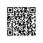 RG1005V-131-B-T5 QRCode