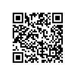 RG1005V-241-B-T1 QRCode