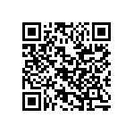 RG1005V-2941-P-T1 QRCode