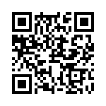 RJHSE538N04 QRCode