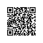 RLR07C9101GMRSL QRCode