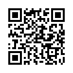 RM333024 QRCode