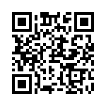 RN55C1383BR36 QRCode