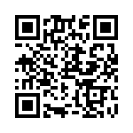 RN55C3831BRSL QRCode