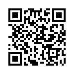 RN60C1002DRSL QRCode