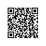 RNC55H1001BSRSL QRCode