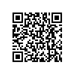 RNC55H1004BRBSL QRCode