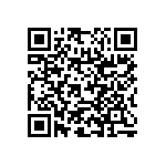 RNC55H1053BSRE6 QRCode