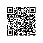 RNC55H1133BSRE6 QRCode