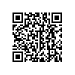 RNC55H1333BRBSL QRCode