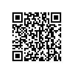 RNC55H1351DSBSL QRCode