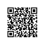 RNC55H13R8BSB14 QRCode