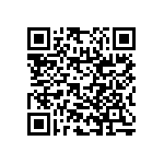 RNC55H1563BSBSL QRCode