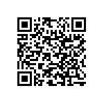 RNC55H1653BSRE6 QRCode