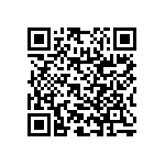 RNC55H1963BSRSL QRCode