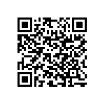 RNC55H2462BSRSL QRCode