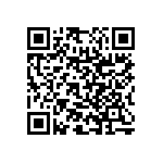 RNC55H2803BSRSL QRCode