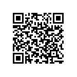 RNC55H2870BRRSL QRCode