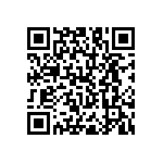 RNC55H2870BSBSL QRCode