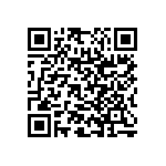 RNC55H2873BSRSL QRCode