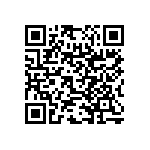 RNC55H2913DSB14 QRCode