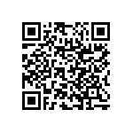 RNC55H3010BSBSL QRCode