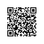 RNC55H3011BPBSL QRCode