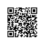 RNC55H3011BPRE6 QRCode