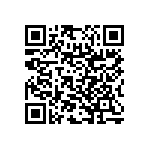 RNC55H3122DSBSL QRCode