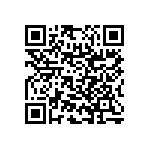 RNC55H3123BSBSL QRCode