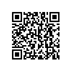 RNC55H3163BSB14 QRCode