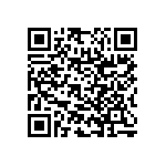 RNC55H3163BSBSL QRCode