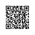 RNC55H3403BMBSL QRCode