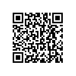 RNC55H3702BSBSL QRCode